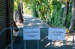 Parcul Herăstrău intră în refacere după ani de amânări. Zone cu risc de prăbușire FOTO